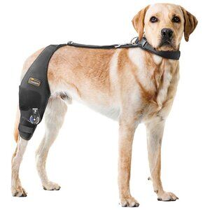 CHAMIN/RISURRY Adjustable Dog Knee Brace , Support for Torn Acl XL